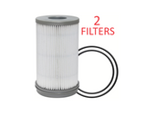 PF46235 (2 PACK) BALDWIN FUEL FILTER FS20176 a762