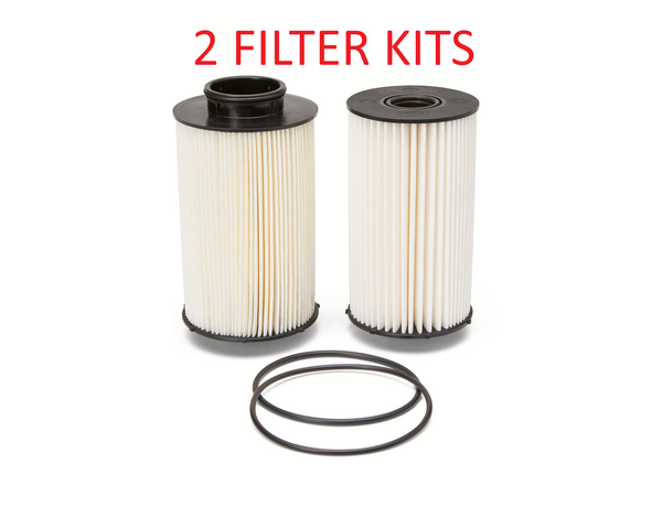 FK22005 (2 PACK) FLEETGUARD FUEL FILTER KIT PF9914-KIT a191