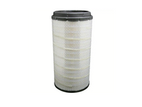 RS5429 BALDWIN AIR FILTER AF26124 a836